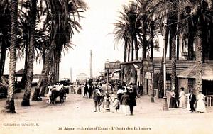 2785- Alger - Jardin d'essai - Oasis des Palmiers